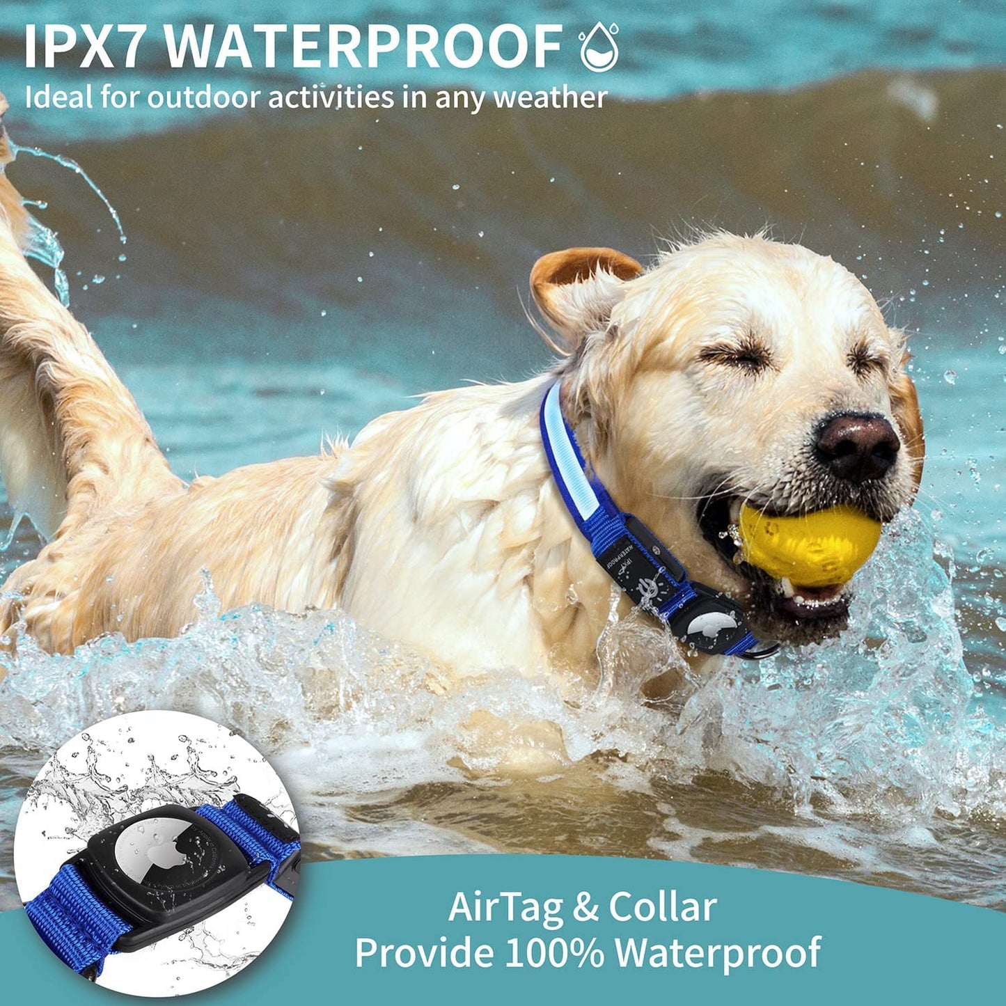 All-in-One LED Lighted, Waterproof Collar with Air Tag Holder