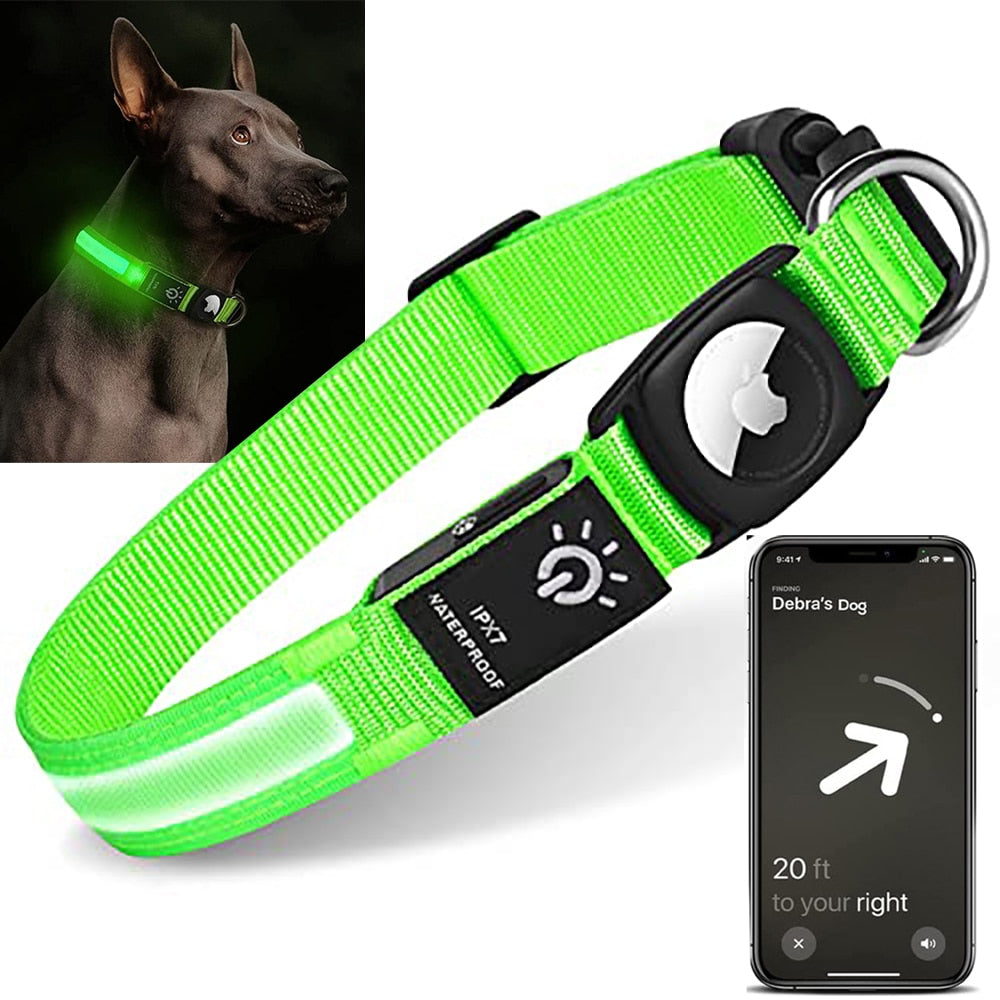 All-in-One LED Lighted, Waterproof Collar with Air Tag Holder