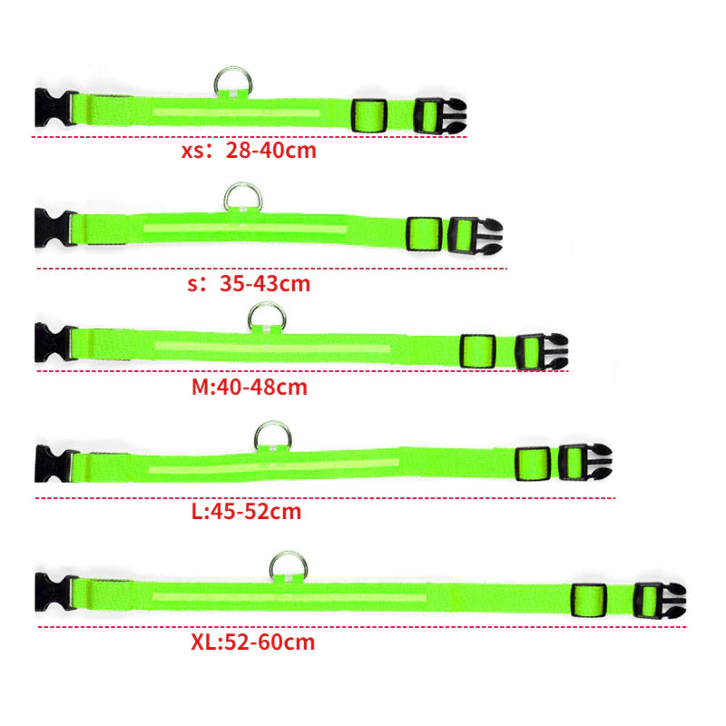 LED Lighted Pet Collar Various Colors and Sizes