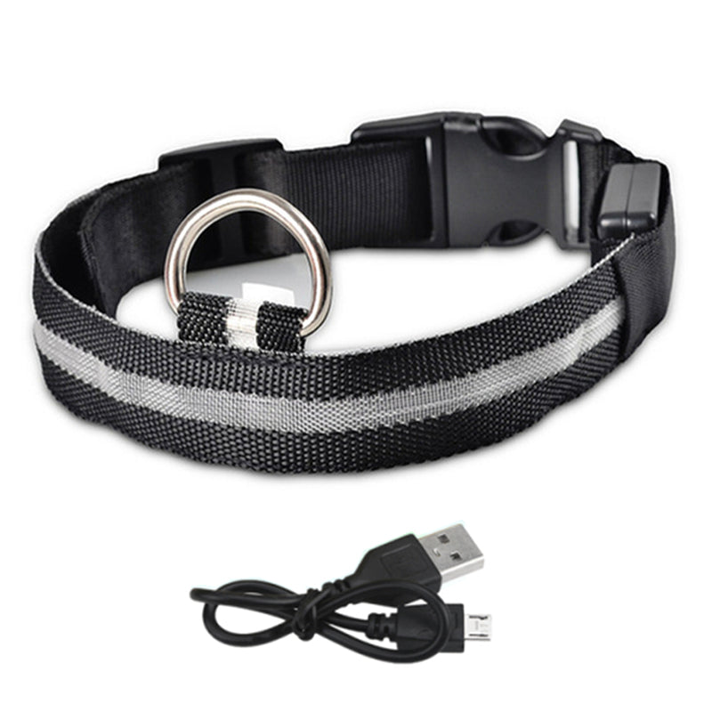 LED Lighted Pet Collar Various Colors and Sizes