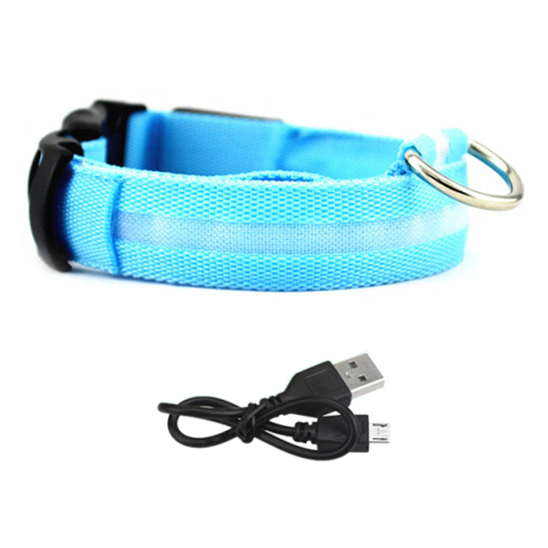 LED Lighted Pet Collar Various Colors and Sizes