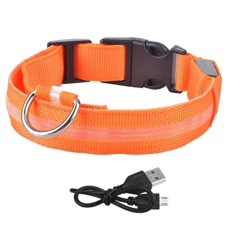 LED Lighted Pet Collar Various Colors and Sizes