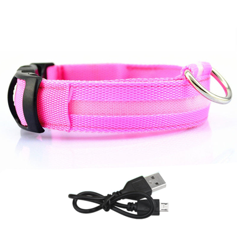 LED Lighted Pet Collar Various Colors and Sizes