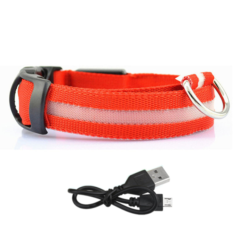 LED Lighted Pet Collar Various Colors and Sizes