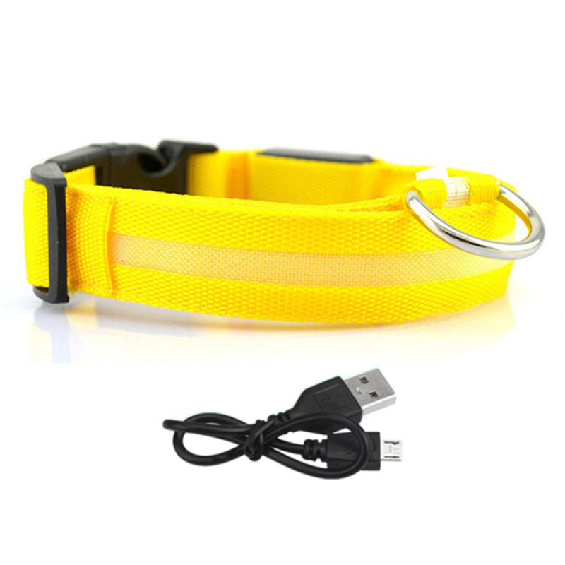 LED Lighted Pet Collar Various Colors and Sizes