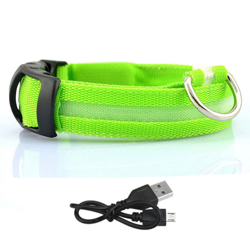 LED Lighted Pet Collar Various Colors and Sizes HousPup