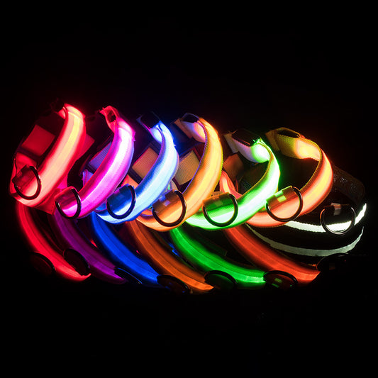 LED Lighted Pet Collar Various Colors and Sizes